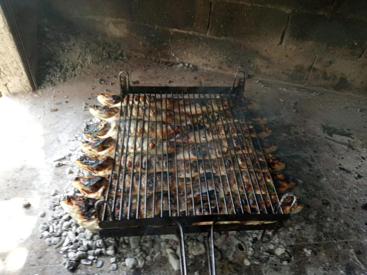 Antos Put Gaja, Split Apartment Екстериор снимка